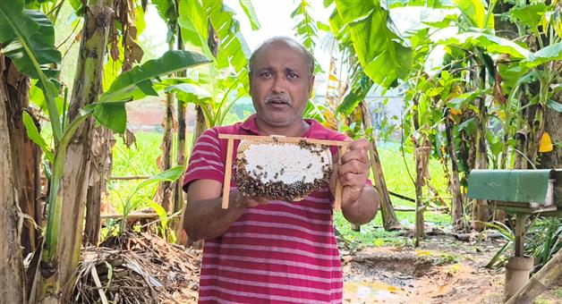 Khabar Odisha:subhendra-prasad-sahu-mixed-farming-nikoti-honey-odisha