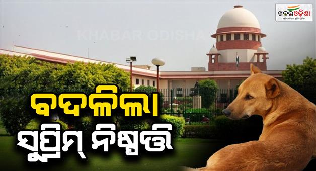 Khabar Odisha:supreme-court-bans-feeding-of-steet-dog-in-public-place