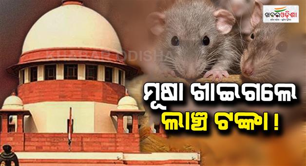 Khabar Odisha:supreme-court-grants-bail-to-bihar-cdpo-in-corruption-case-after-police-claim-rats-ate-bribe-money