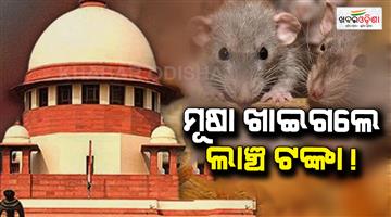 Khabar Odisha:supreme-court-grants-bail-to-bihar-cdpo-in-corruption-case-after-police-claim-rats-ate-bribe-money