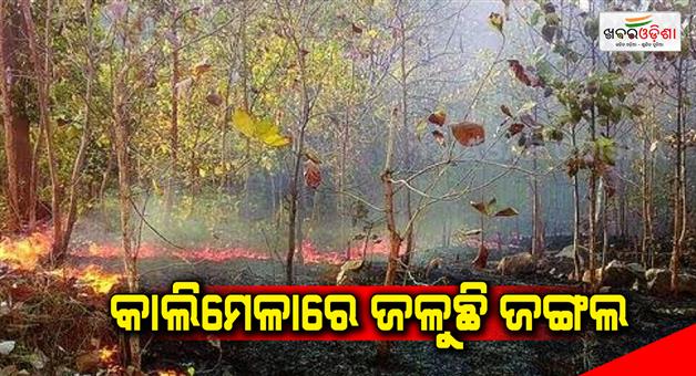 Khabar Odisha:the-forest-is-burning-in-kalimela