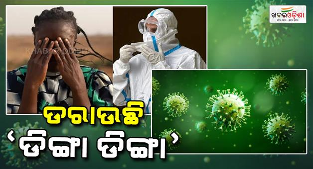 Khabar Odisha:the-new-virus-has-spread-these-symptoms-are-seen-with-severe-fever