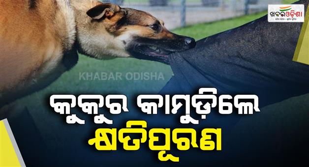 Khabar Odisha:the-state-will-compensate-for-the-dog-bite