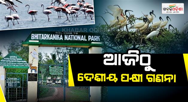 Khabar Odisha:three-day-resident-bird-census-begins-in-bhitarkanika-today