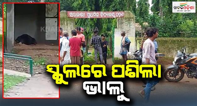 Khabar Odisha:tiger-in-nabarangapur-school