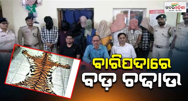 Khabar Odisha:tiger-skin-seizure-in-baripada-nine-arrested-main-accused-still-at-large