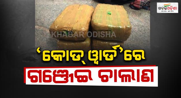 Khabar Odisha:truck-full-of-ganja-seized-from-bhubaneswar-3-arrested-with-7-quintals-of-ganja