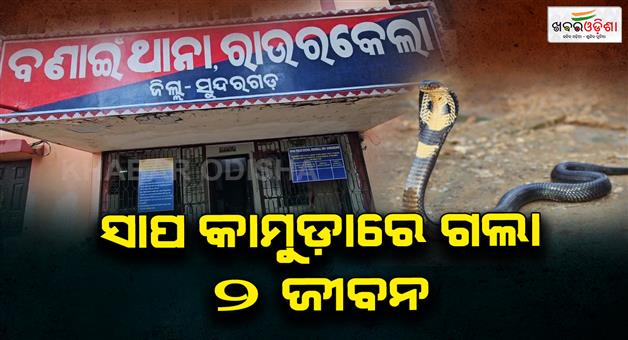 Khabar Odisha:two-died-in-snake-bite-at-sundergarh
