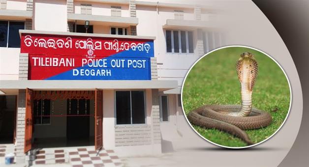 Khabar Odisha:two-month-old-dies-of-snakebite-in-debagada-father-critical