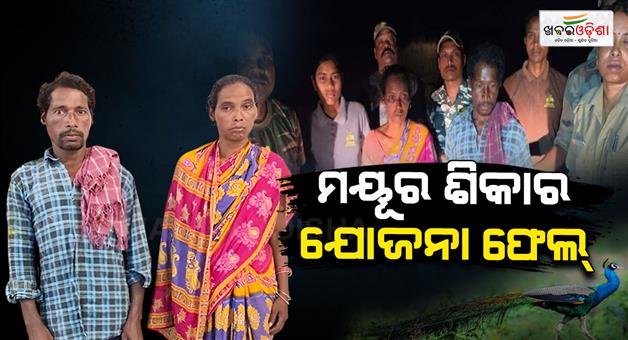 Khabar Odisha:two-poachers-arrested-near-debrigarh-sanctuary-peacock-meat-seized