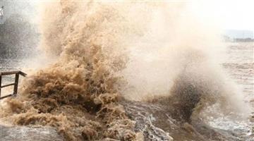 Khabar Odisha:typhoon-noul-hits-china-guangdong-evacuations-flights-cancelled