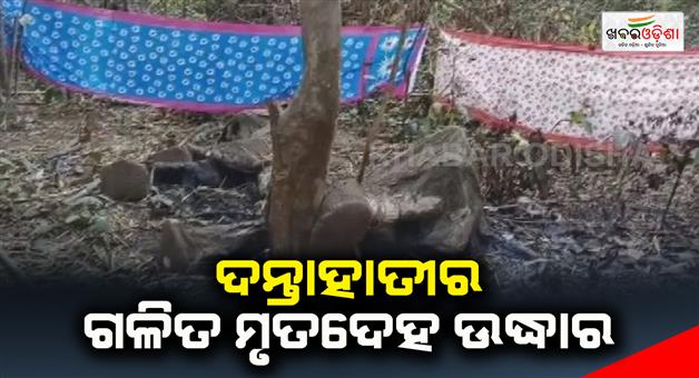 Khabar Odisha:use-of-electric-traps-for-hunting-elephants