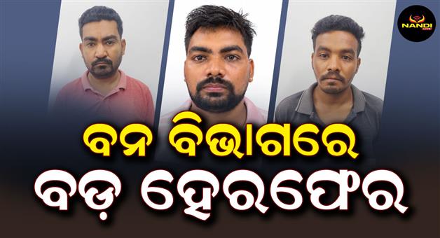 Khabar Odisha:vigilance-arrests-3-persons-of-dhenkanal-forest-department