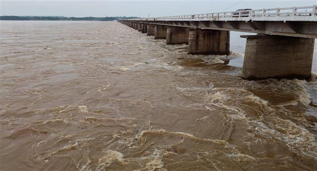 Khabar Odisha:water-level-in-mahanadi-will-rise-there-will-be-no-flood-says-top-engineer-chandra-shekhar-padhi