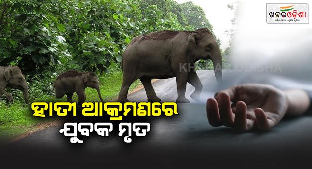 Khabar Odisha:while-washing-the-elephant-attacked-the-mans-life