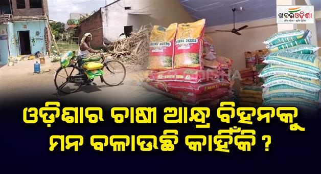Khabar Odisha:why-odisha-farmers-are-thinking-of-andhra-seeds