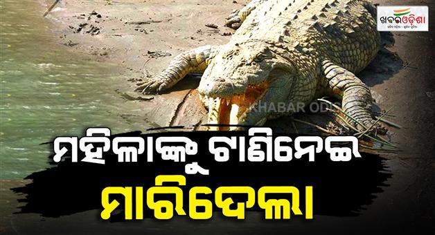 Khabar Odisha:woman-killed-in-crocodile-attack-in-kendrapada