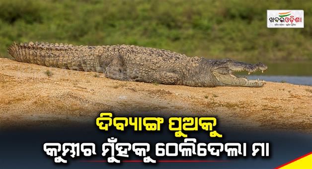 Khabar Odisha:woman-throws-mute-son-in-crocodile-infested-river-after-fight-with-husband