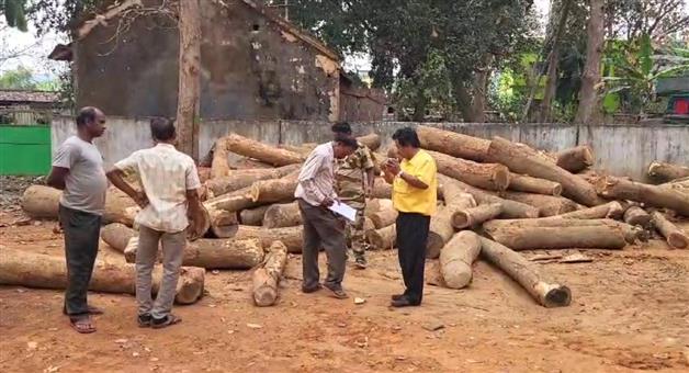 Khabar Odisha:wood-laden-truck-seized-from-western-side-of-Muktapasi-forest-range