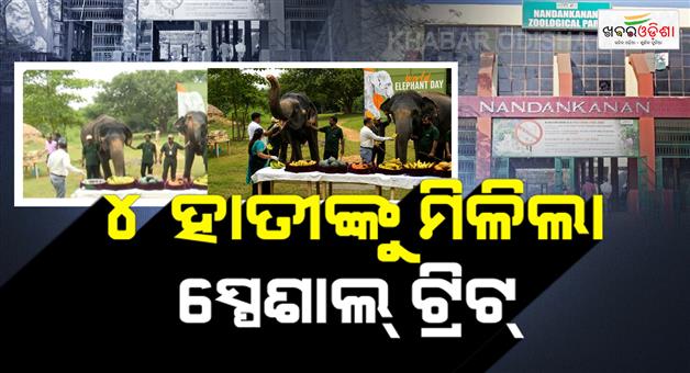 Khabar Odisha:world-elephant-day-celebrated-at-nandankanan-zoological-park-with-special-feast