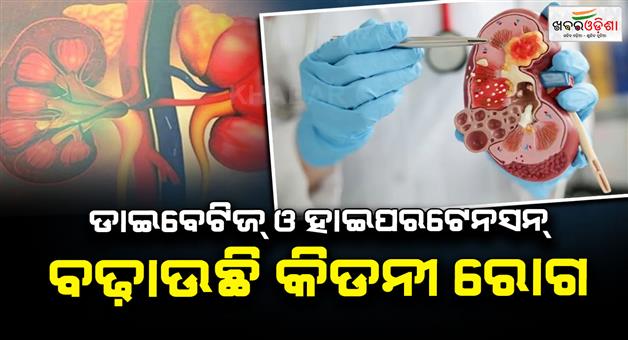 Khabar Odisha:world-kidney-day-2026-diabetes-and-high-blood-pressure-can-harm-your-kidney