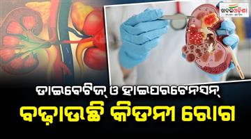 Khabar Odisha:world-kidney-day-2026-diabetes-and-high-blood-pressure-can-harm-your-kidney