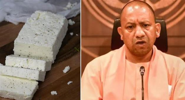 Khabar Odisha:yogi-govt-bans-analog-paneer-up-dairy-rules