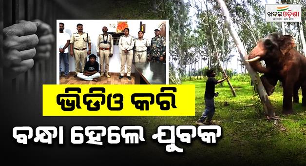 Khabar Odisha:youth-arrested-for-making-a-video-with-an-elephant
